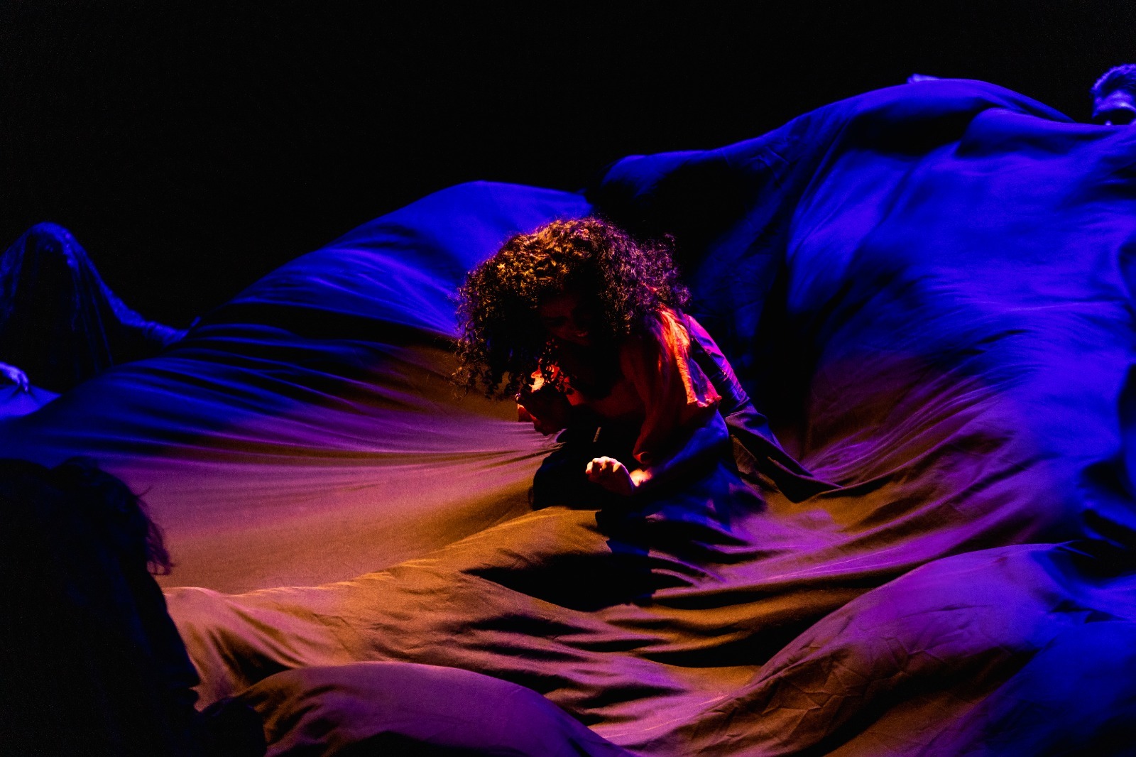 Primeira edição do “Infesta” acontece em Ribeirão Preto