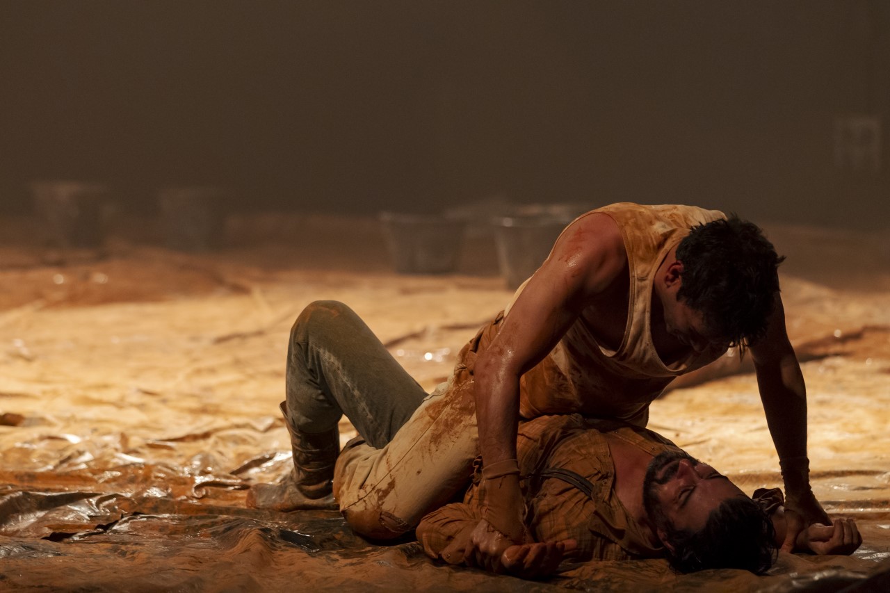 Encenado por Armando Babaioff, Sesc Ribeirão apresenta o espetáculo Tom na Fazenda