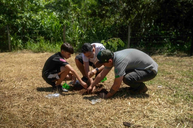 Sustentabilidade ambiental: construtora promove ação de plantio de árvores em Araraquara
