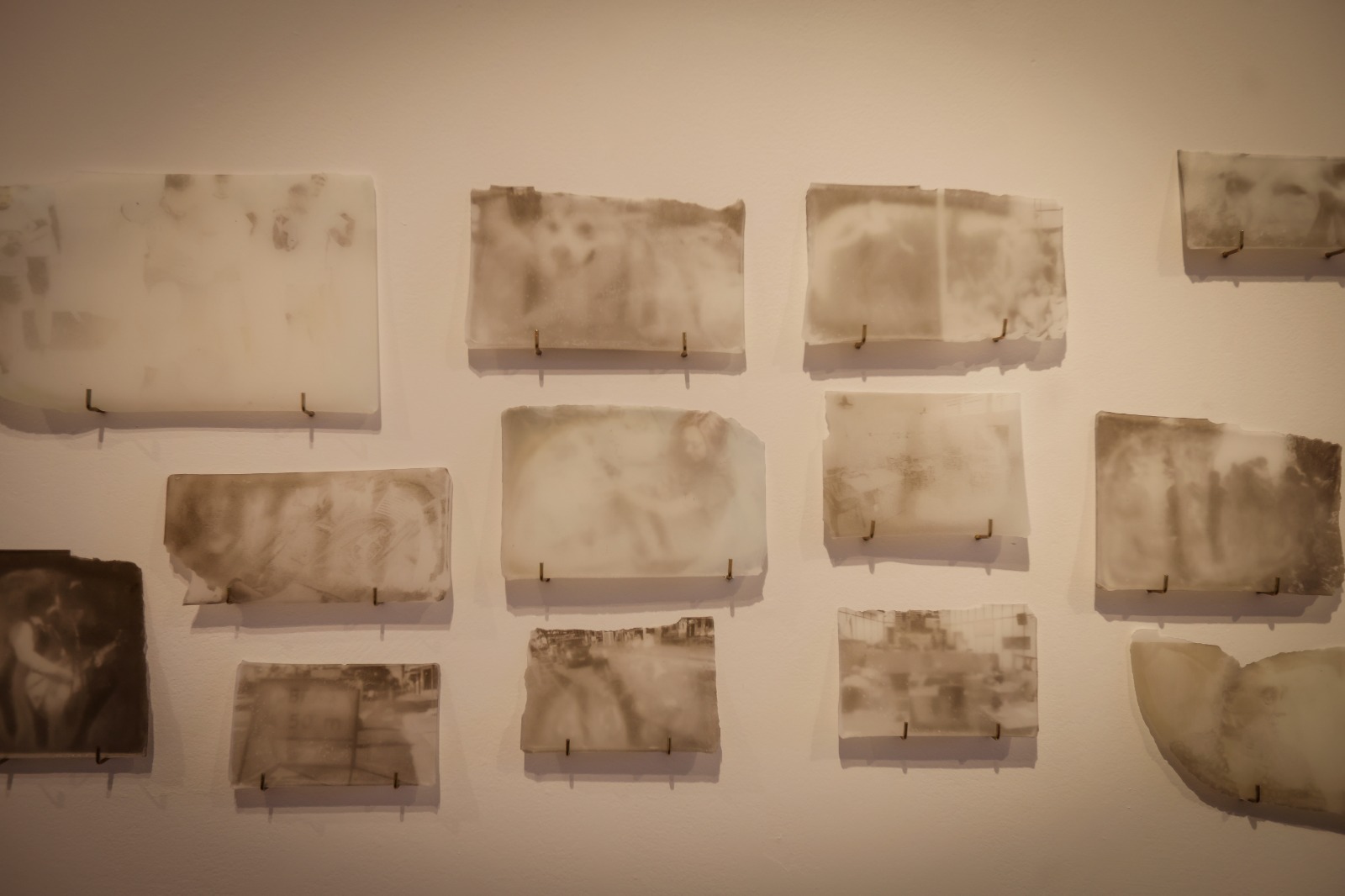 Pinacoteca de São Bernardo do Campo vai receber a exposição “Territórios,” de Marcia Gadioli