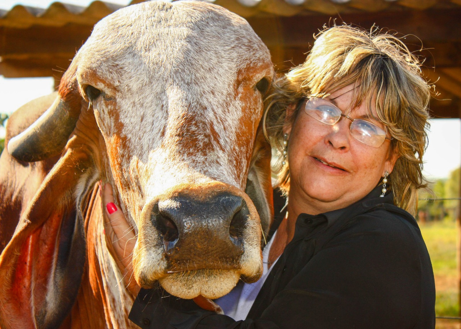 Fazendeira que é referência na criação de gado Gir Leiteiro recebe homenagem na 53ª Expoagro em Franca/SP