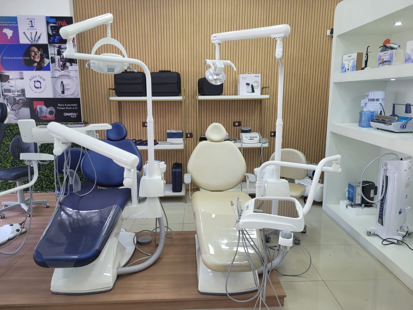 Gnatus inaugura loja oficial em São Paulo