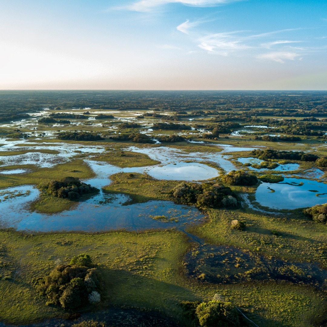 Biodigestor é alternativa para sustentabilidade na pecuária no bioma do Pantanal