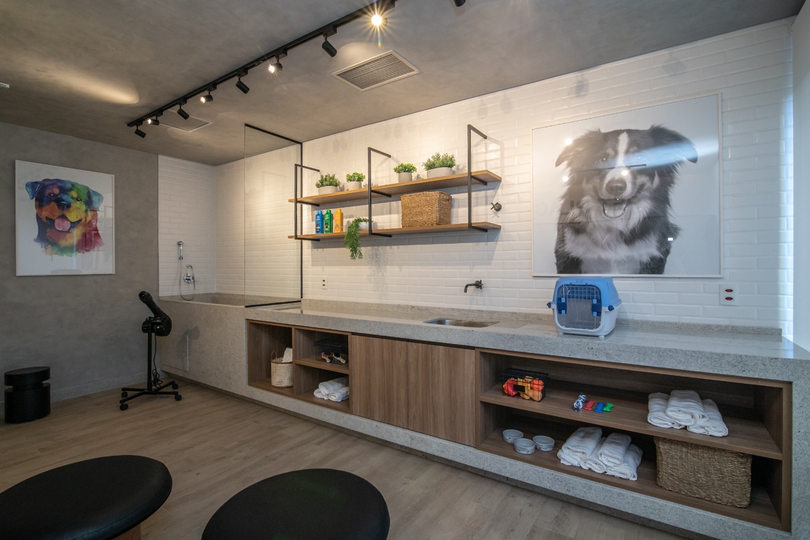 Pets impulsionam mudanças no setor da construção civil