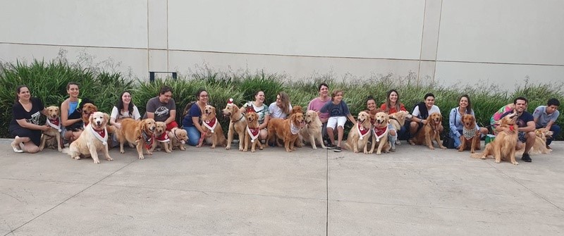 Alerta fofura! Iguatemi Ribeirão Preto recebe mais de 70 pets em encontro de Golden Retrievers