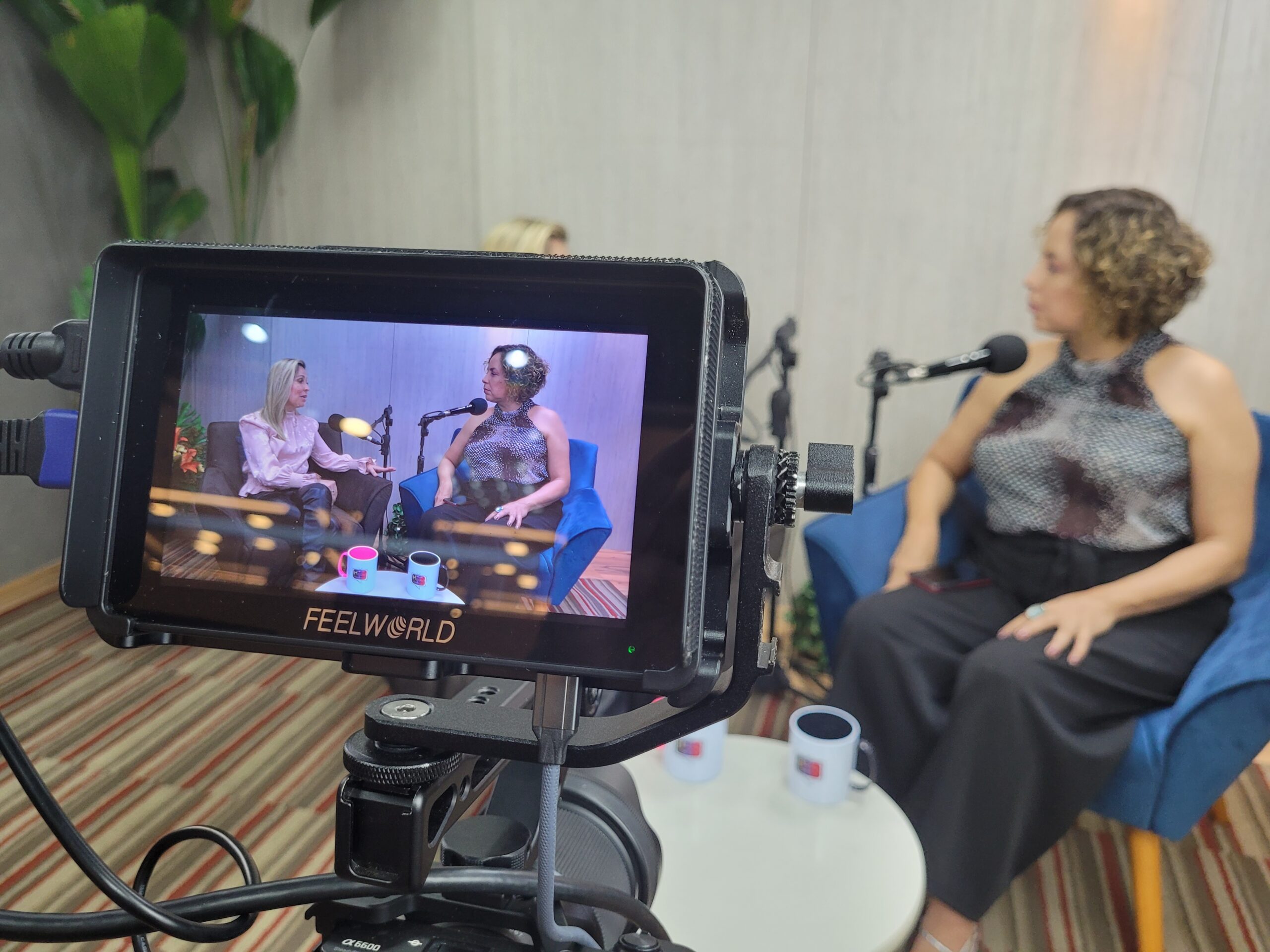 Heloísa Pedrosa comemora um ano de estúdio audiovisual com novos quadros e formatos