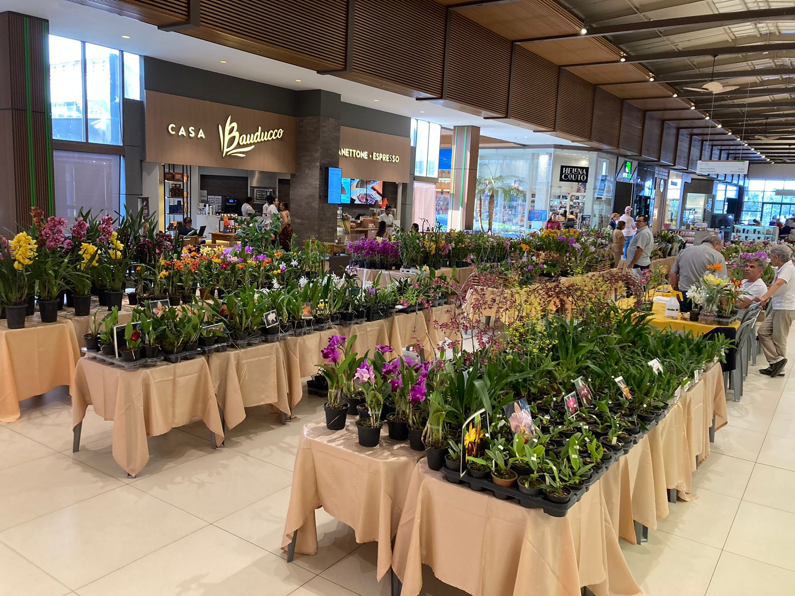 Franca Shopping recebe Feira de Orquídeas com variedades exclusivas