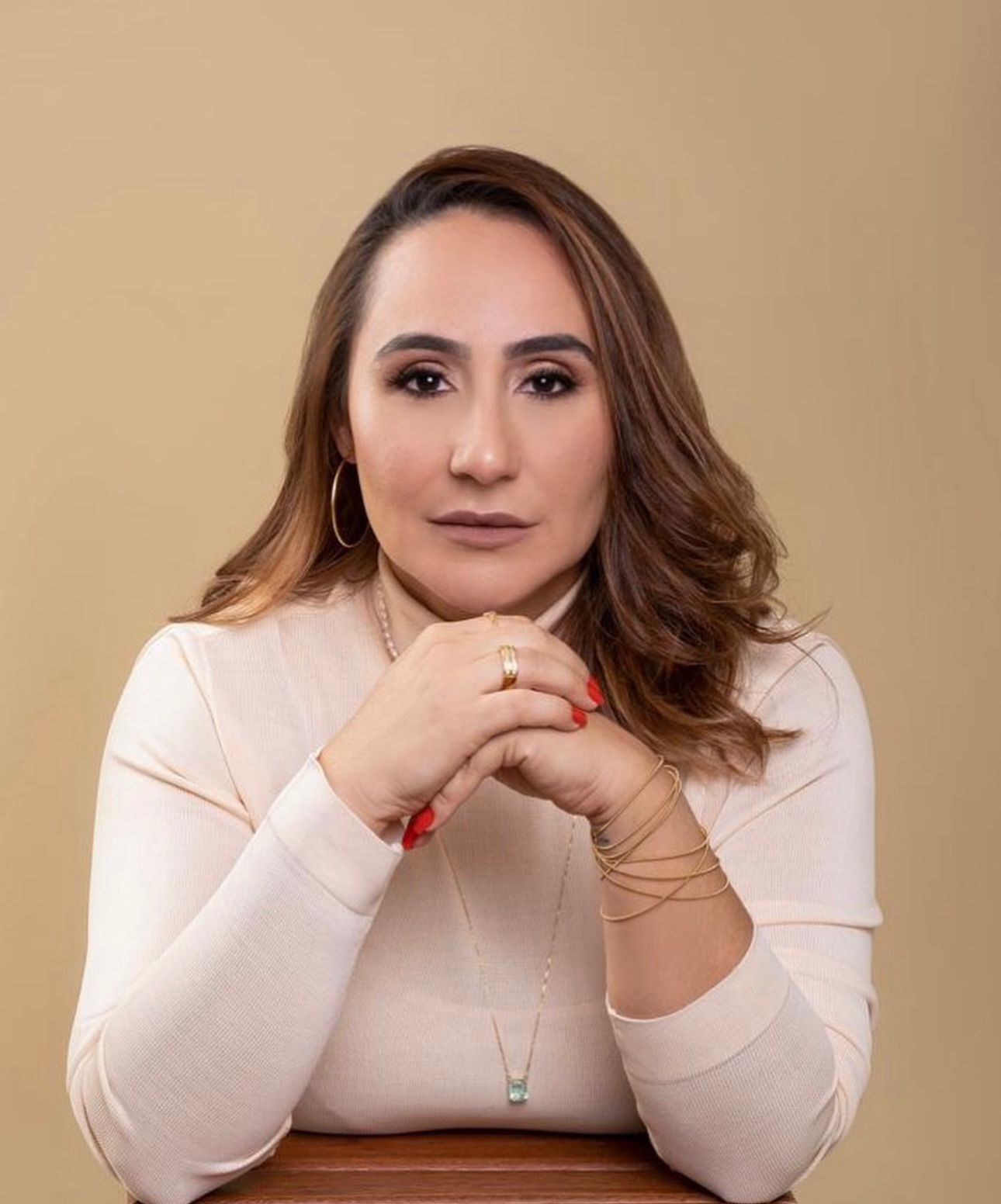 GoDog: transporte premium para pets com segurança e conforto