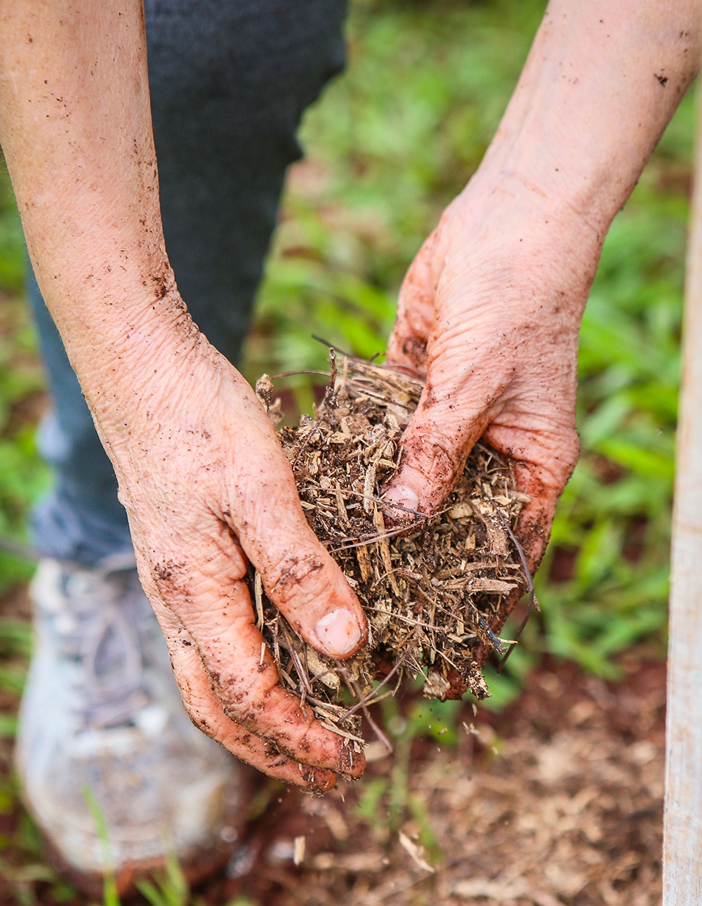 Basequímica realiza plantio de árvores em parceria com o projeto ArboreSer