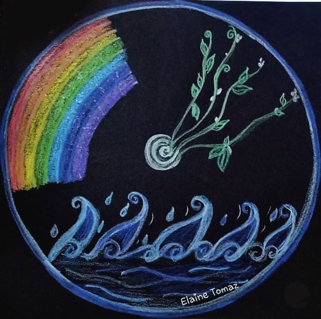 Ribeirão Preto recebe a exposição “Um outro olhar para a Mandala”