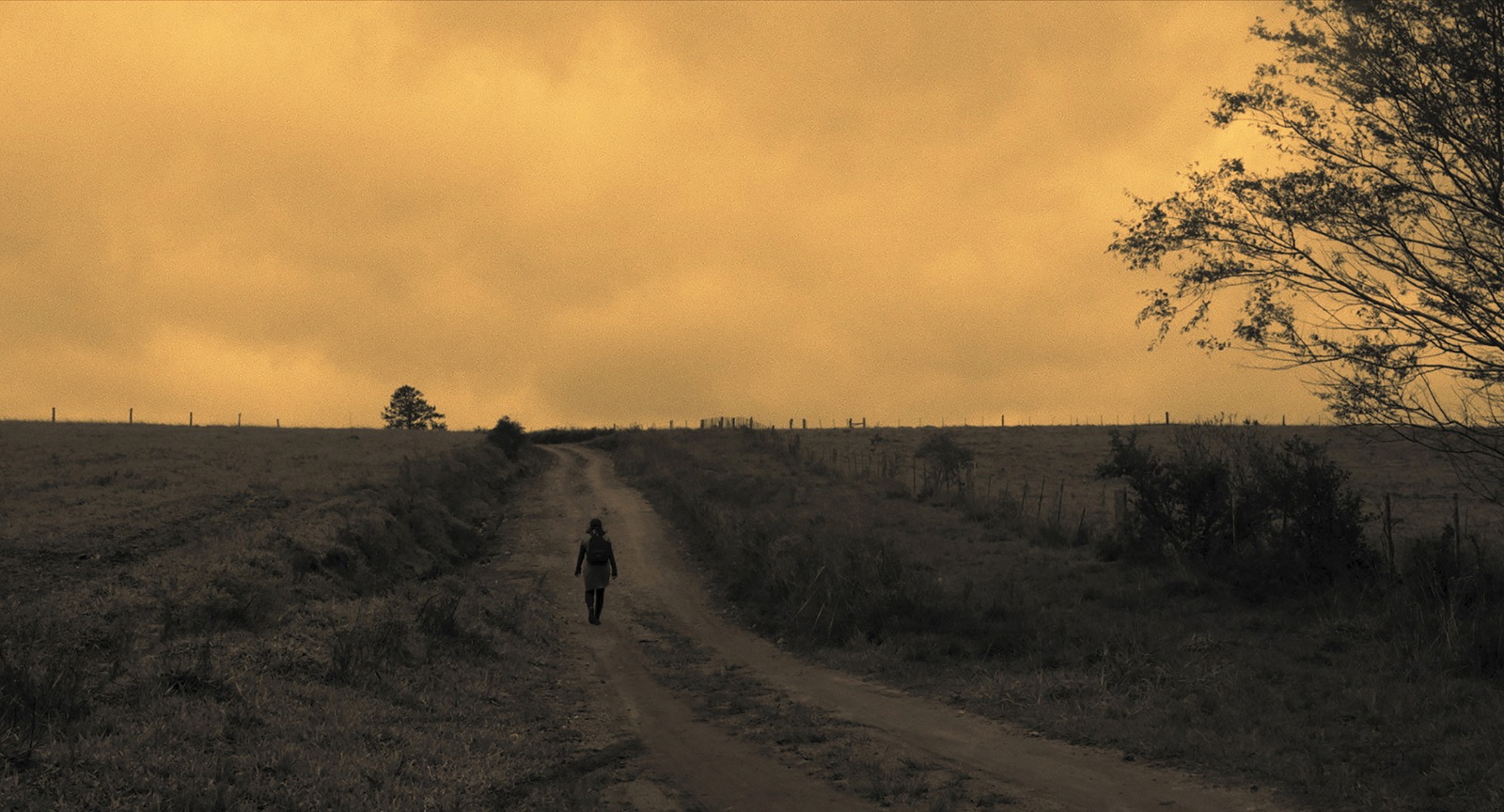 1º Festival Internacional de Cinema de Ribeirão Preto movimenta a cena cultural da cidade
