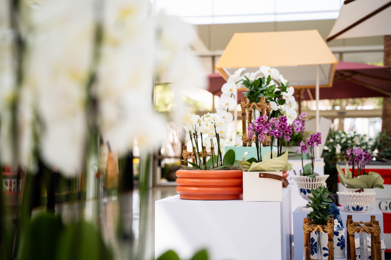 Iguatemi Ribeirão Preto celebra primavera com ação inédita aos clientes