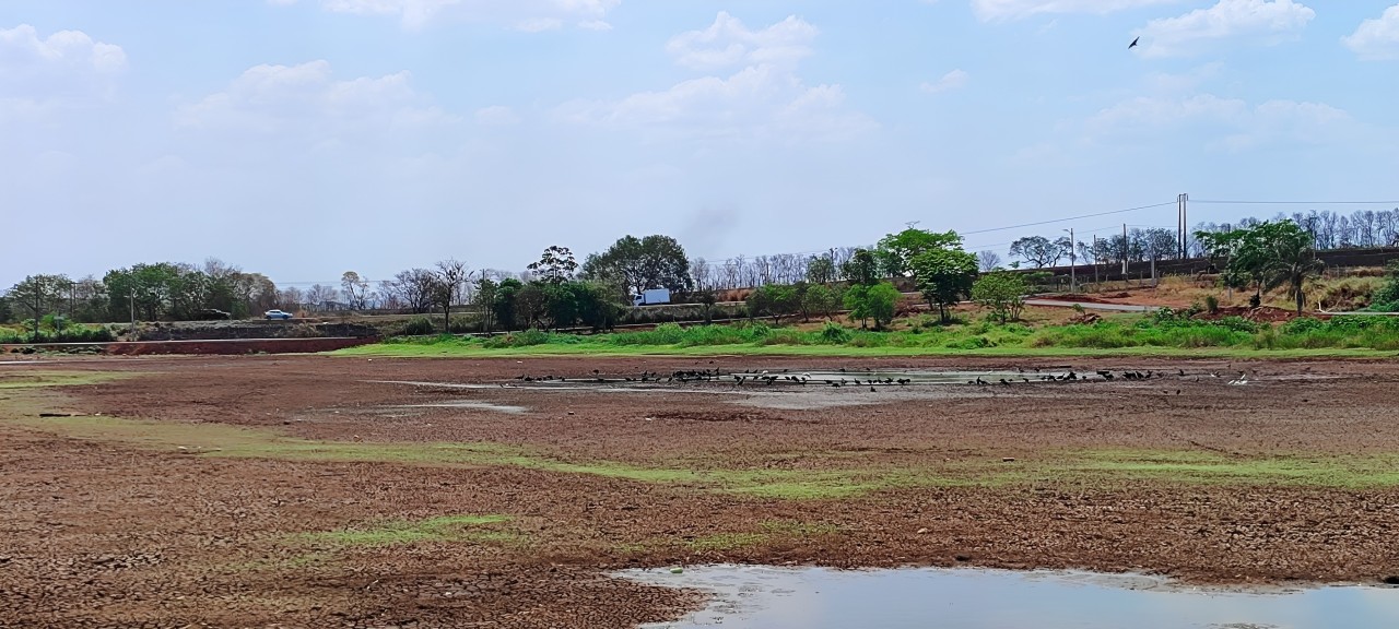 Lagoa Maravilha, em Serrana, está seca mais uma vez