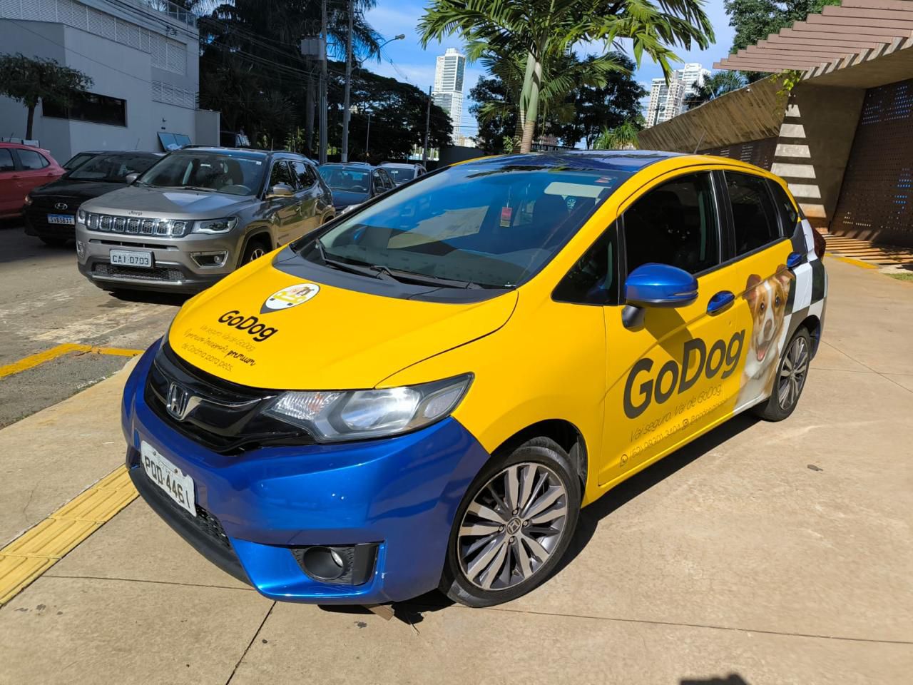 Falta de regulamentação no transporte de Pets ameaça segurança dos animais no Brasil