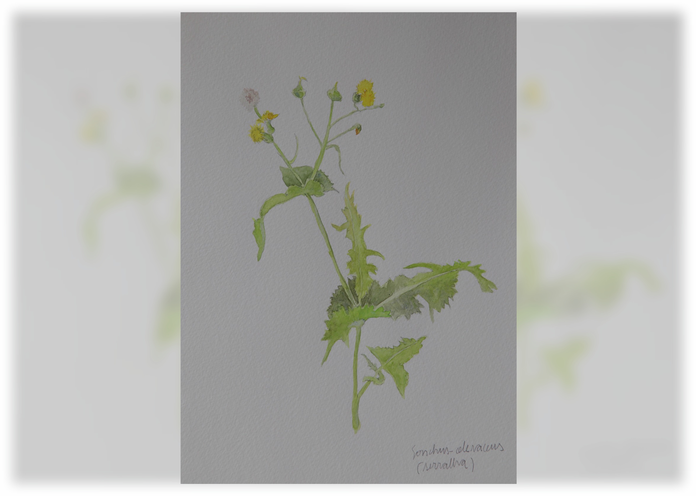 Iguatemi Ribeirão Preto reúne obras de 10 artistas em exposição de arte do Gallery Mall Art