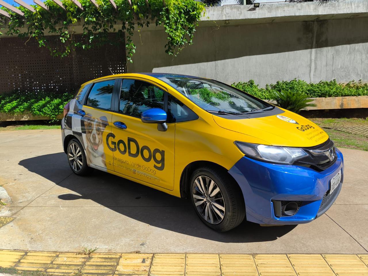 Transporte Interestadual e Intermunicipal para Pets