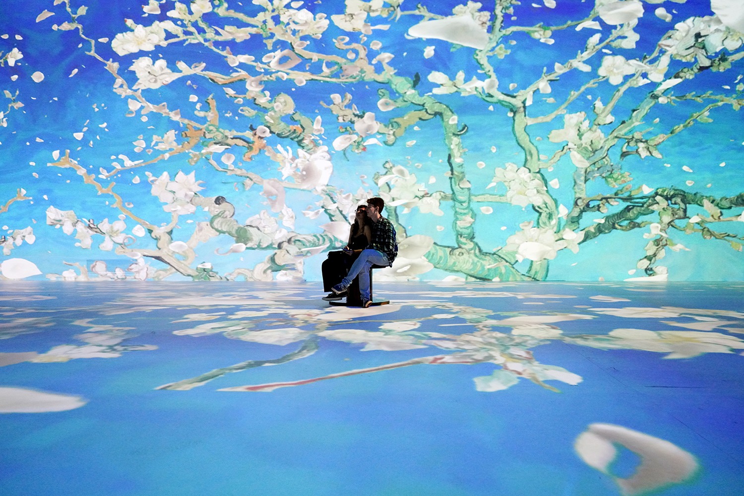 Exposição ‘Van Gogh & Impressionistas’ entra nos últimos dias com promoção especial