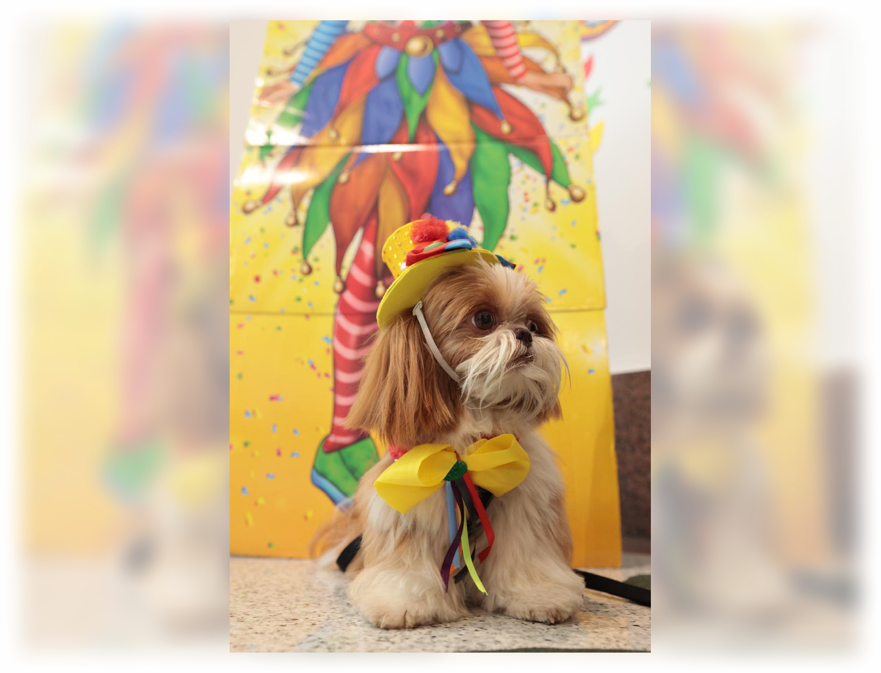 ShoppingSantaÚrsula tem Carnaval com banda, DJ, oficinas infantis e matinê pet