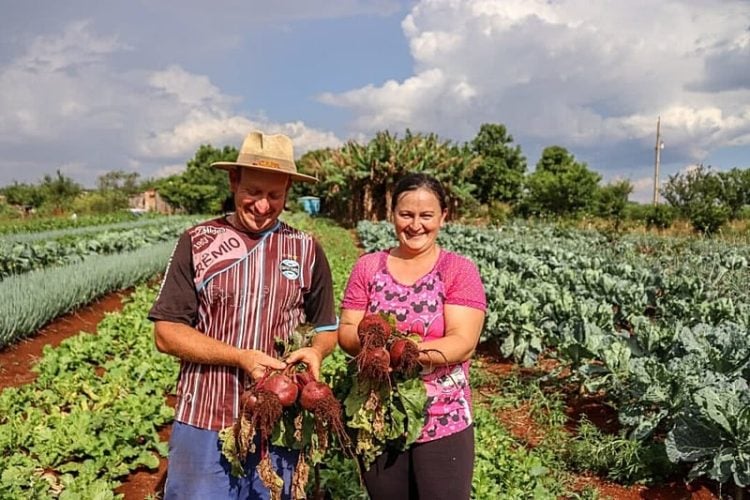 Governo Federal lança Desenrola Rural para renegociação de dívidas da agricultura familiar