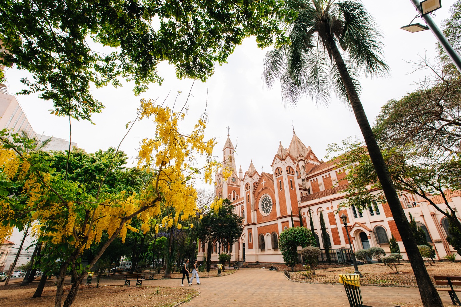 Catedral de Ribeirão Preto abre portas para visitas guiadas em março
