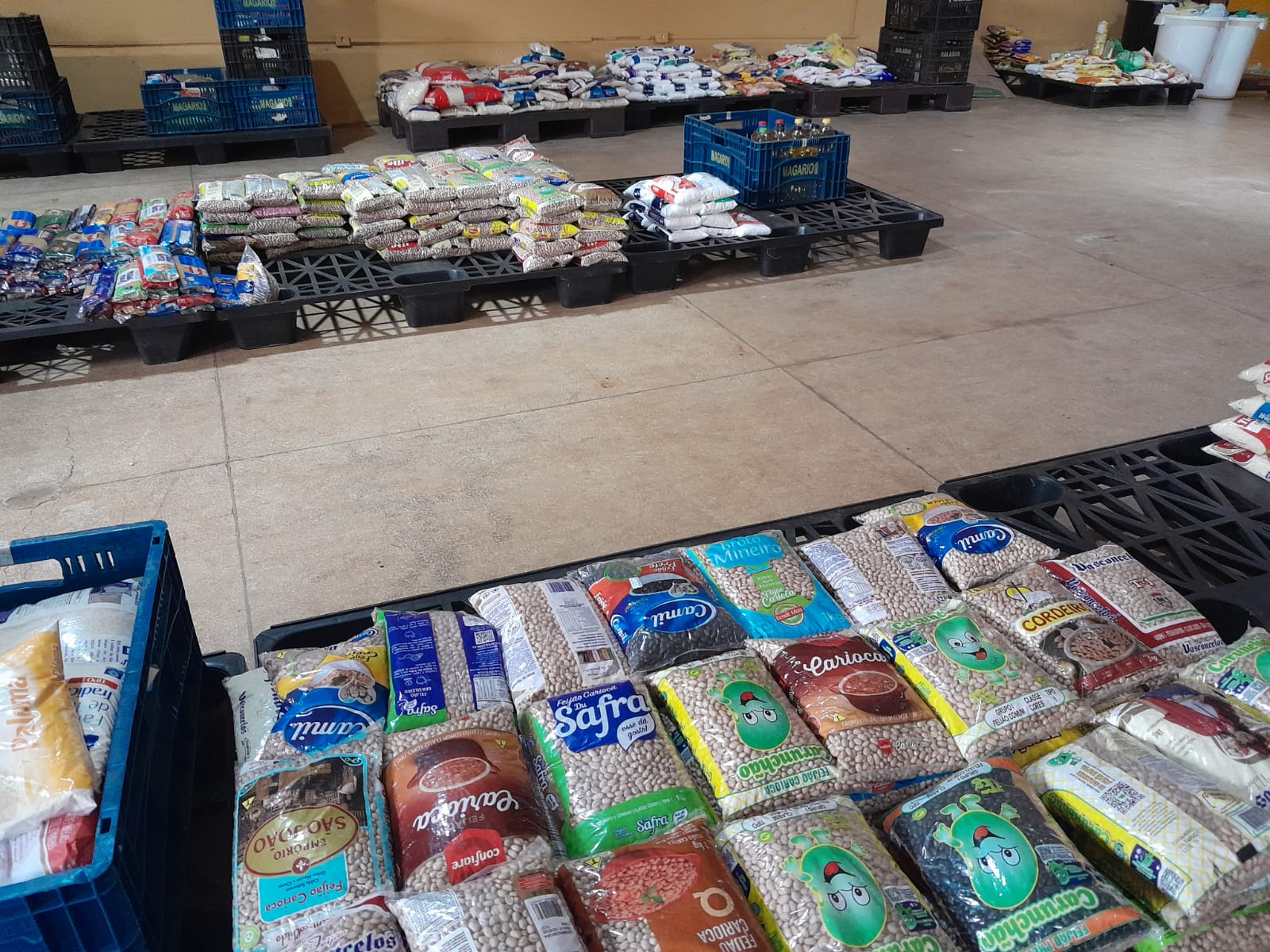 Show do Capital Inicial arrecada 1,6 tonelada de alimentos para o Fundo Social de Solidariedade de Ribeirão Preto