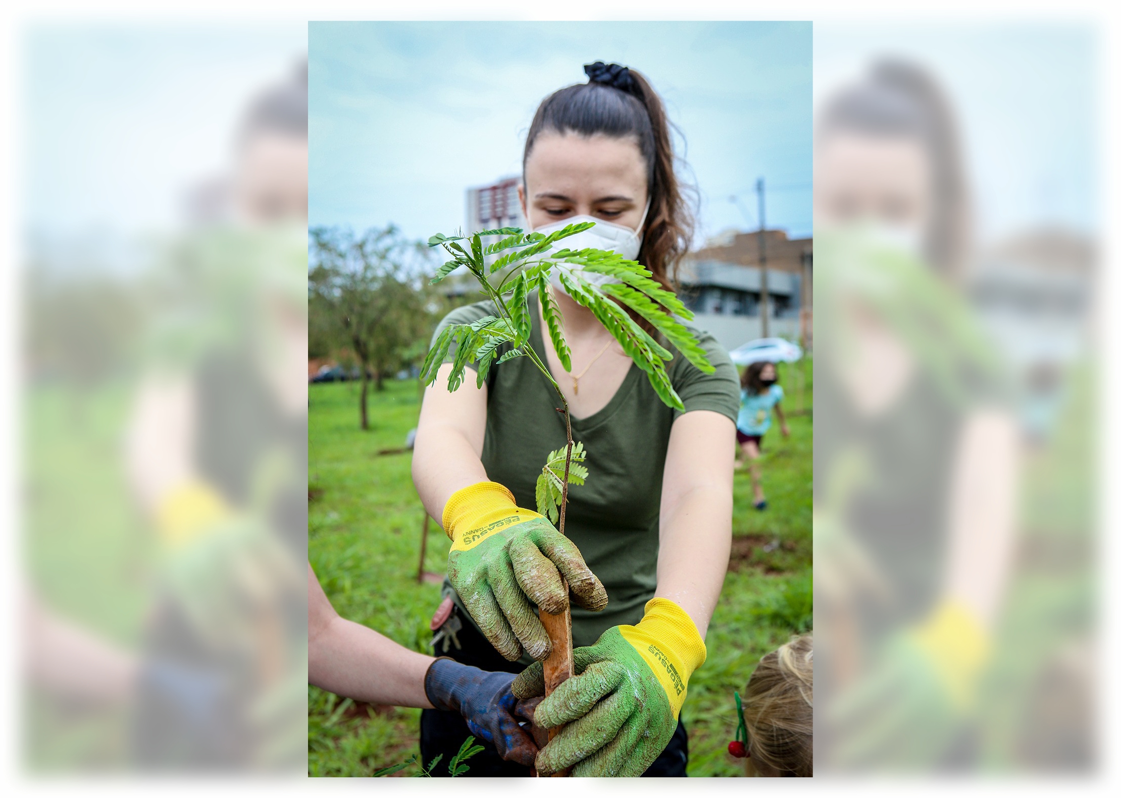 Projeto ArboreSer encerra temporada2024/2025 com números expressivos