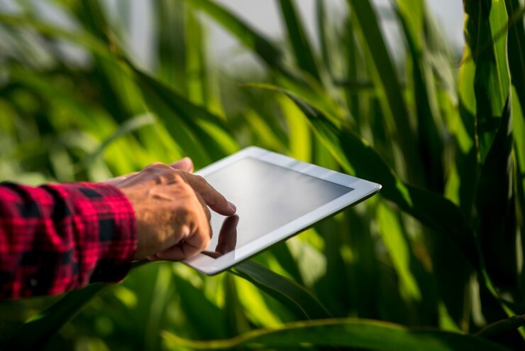 Agrishow: impulsionando o agro e prevenindo crises financeiras no setor