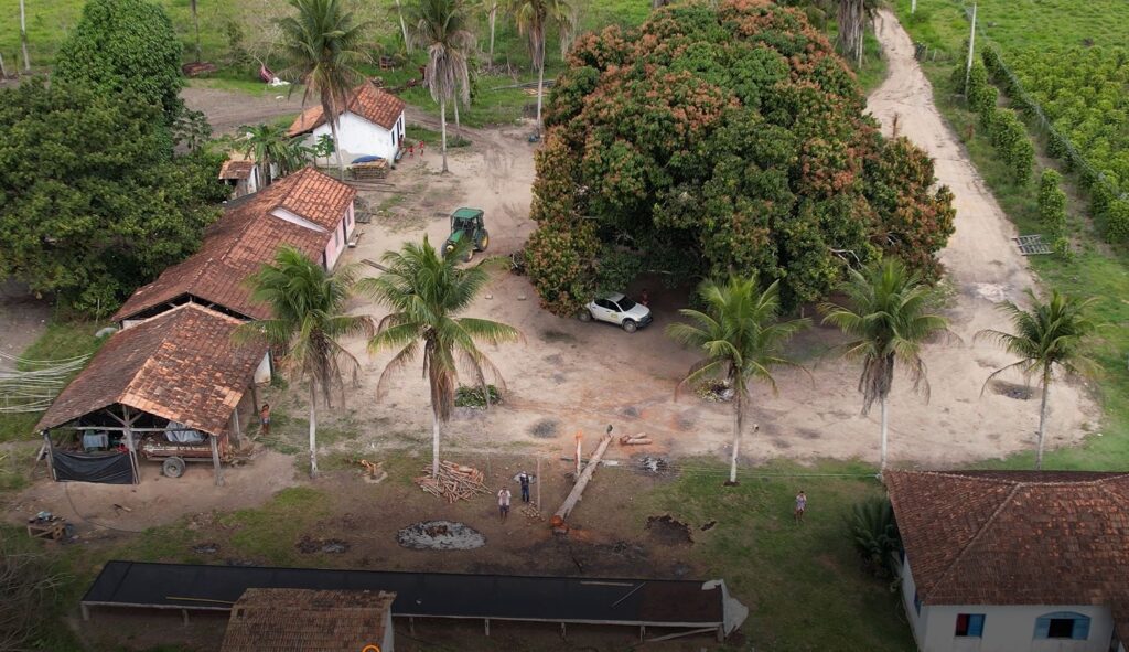 Agronex denuncia ação de crime organizado sob falsa imunidade indígena no Extremo Sul da Bahia