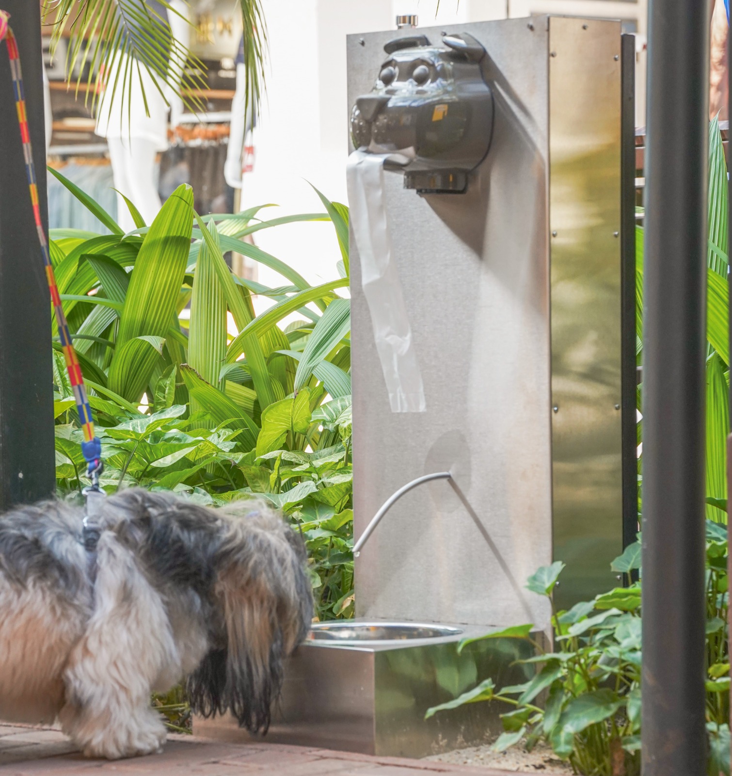 Com estrutura e eventos temáticos, Santa Maria Outlet se firma como destino pet friendly