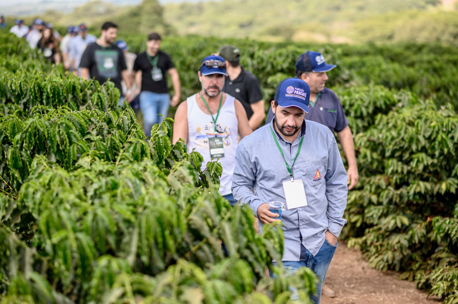 Quebra da safra, novas cultivares e manejo: Procafé espera 3 mil pessoas em evento técnico na próxima semana em Varginha