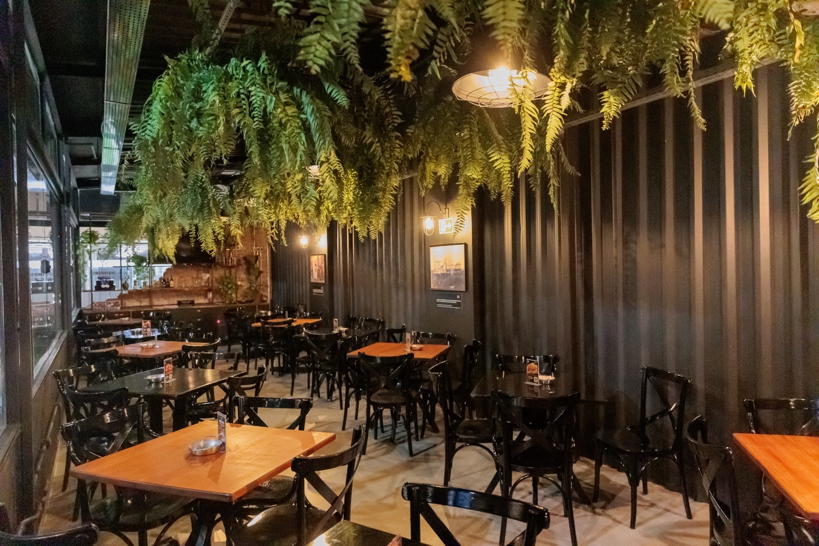 ShoppingSantaÚrsula recebe festival internacional de divulgação científica