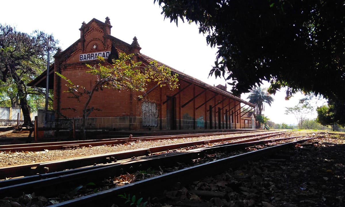 “É preciso que Plano Nacional das Ferrovias contemple trilhos do interior paulista”, diz especialista em comércio exterior