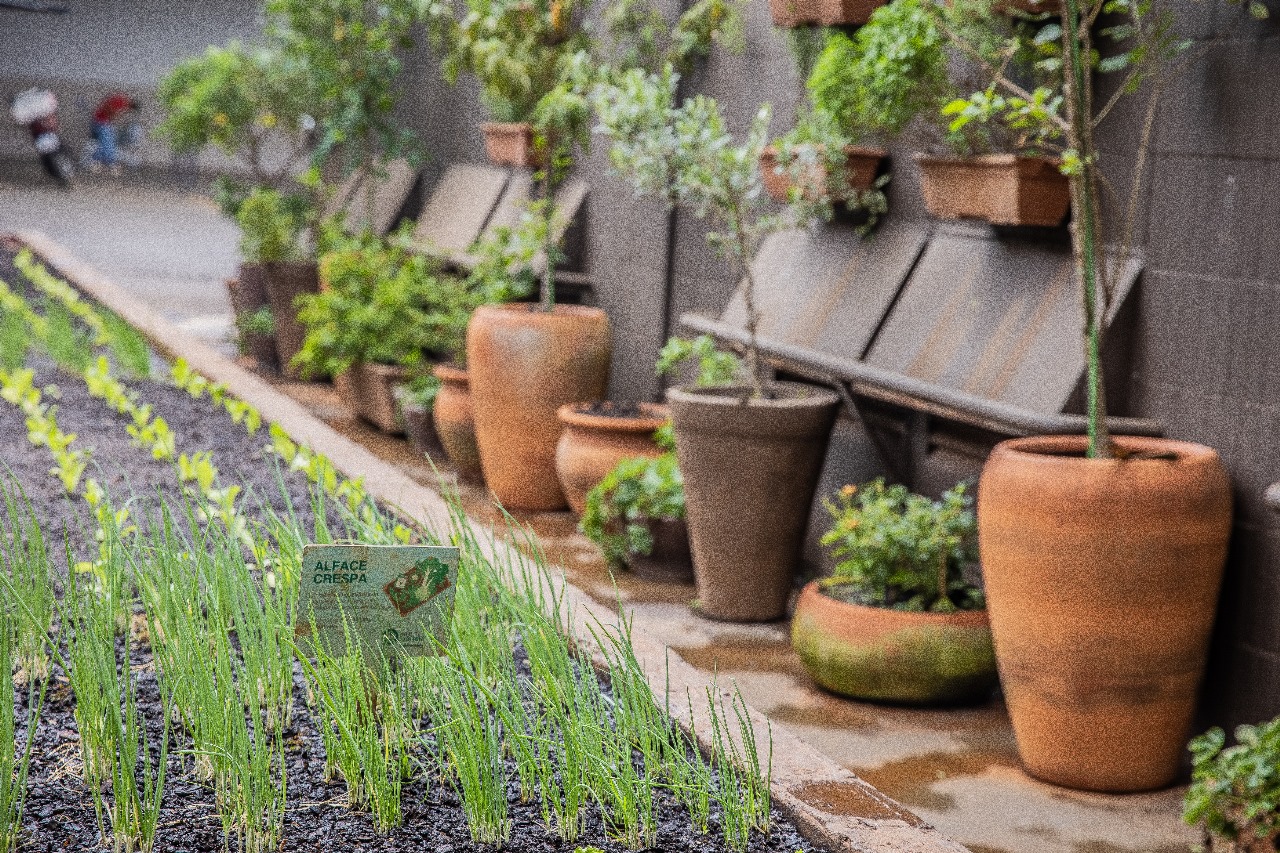 Toneladas de alimentos que seriam descartados se transformam em adubo orgânico em horta corporativa