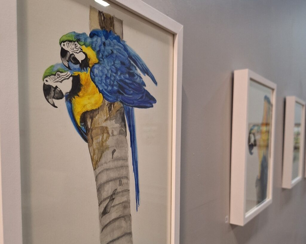 Exposição “Inside Out”, da artista Zaza Amaral, estreia no ShoppingSantaÚrsula