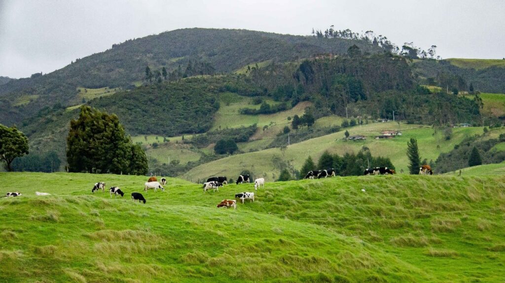 Falta de estrutura nas fazendas brasileiras impulsiona importação de soluções móveis como o silo-bolsa