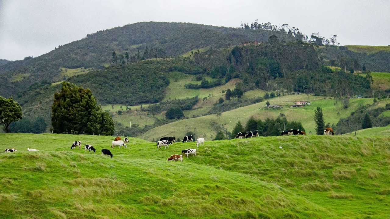 Falta de estrutura nas fazendas brasileiras impulsiona importação de soluções móveis como o silo-bolsa