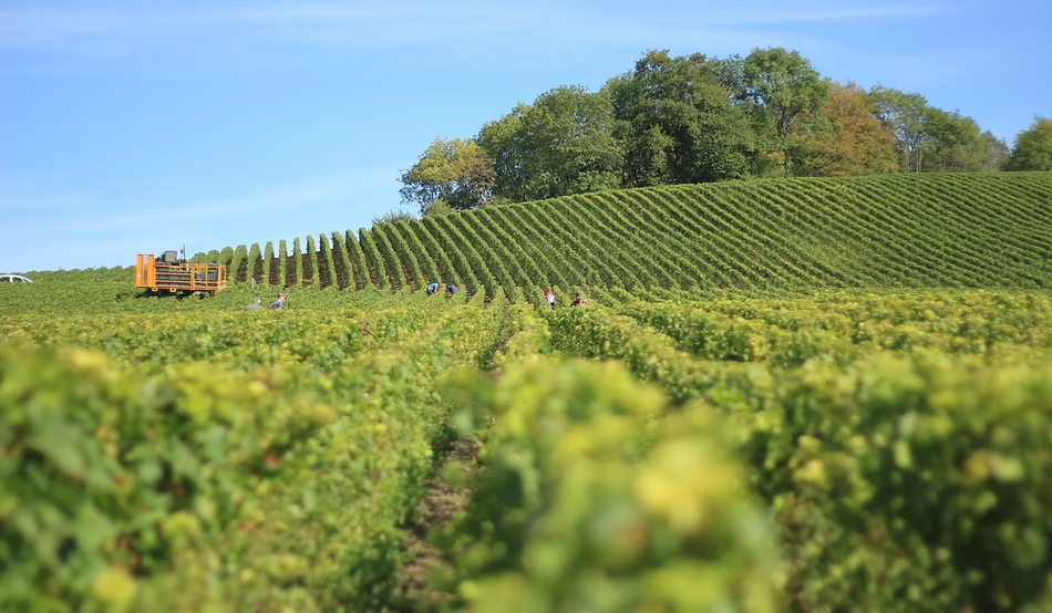 Cyan Analytics e AgroNational anunciam fusão para fortalecer o agronegócio brasileiro