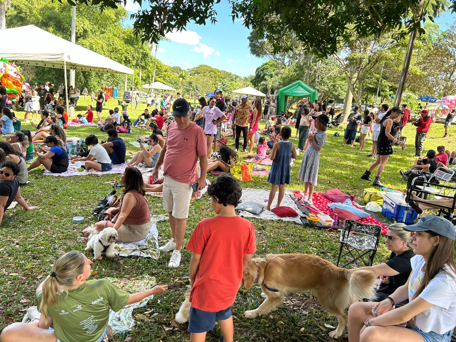 Jardim Botânico vira palco de cultura, música e natureza com shows e atividades para todas as idades