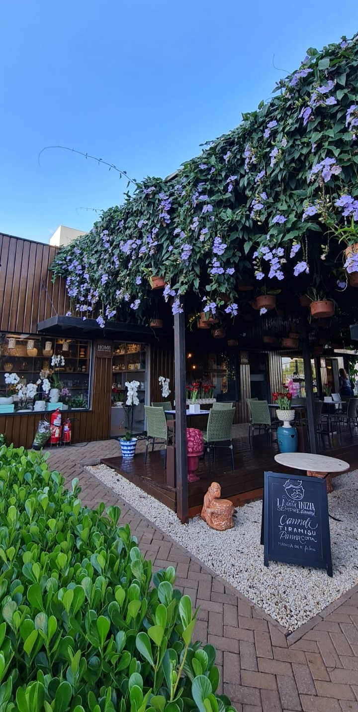 Uma das maiores floristas do Brasil ministra workshop gratuito no Festival das Orquídeas em Ribeirão Preto