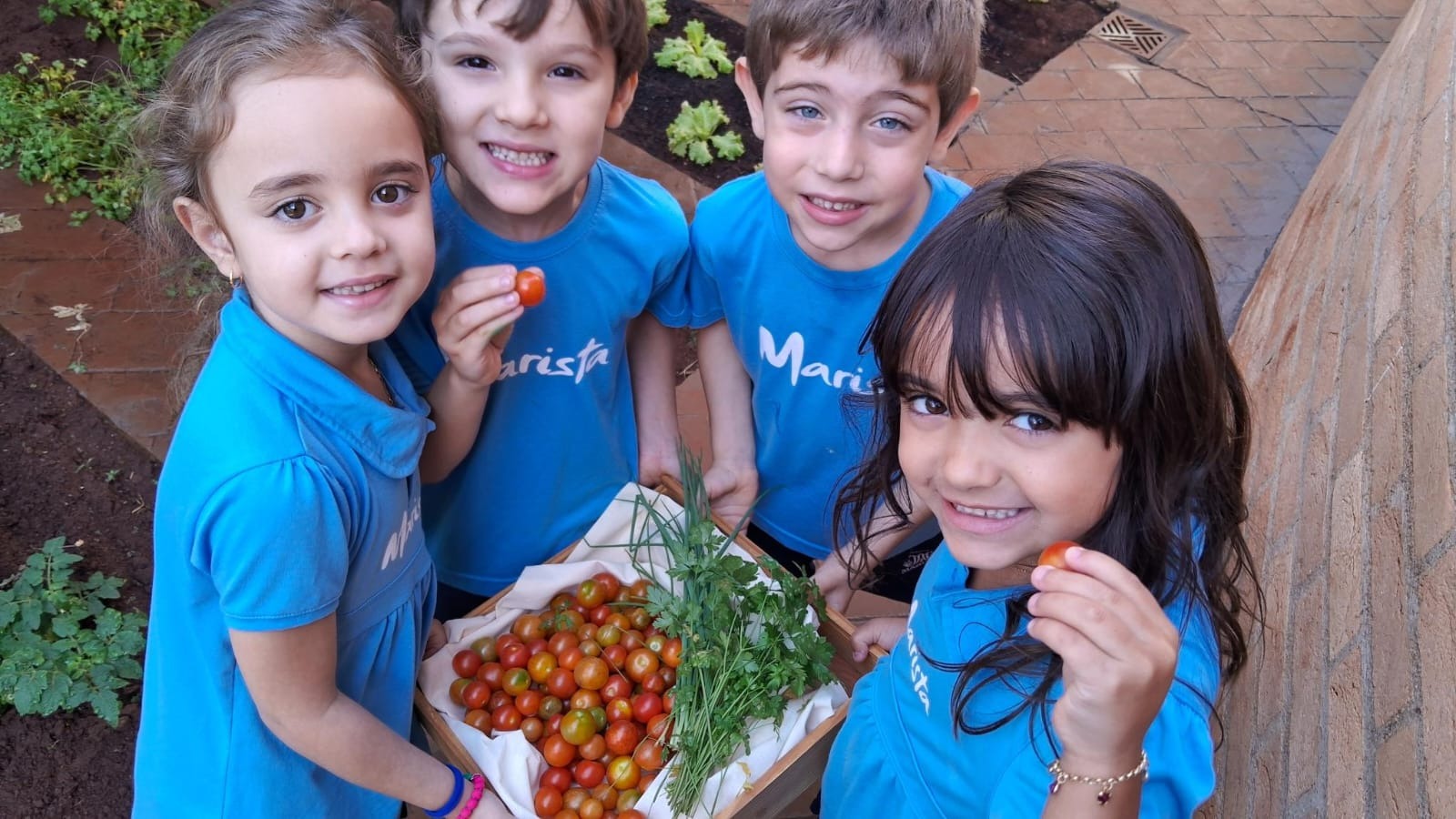 Da horta à lixoteca, alunos de Ribeirão Preto mostram que cuidar do planeta começa na infância