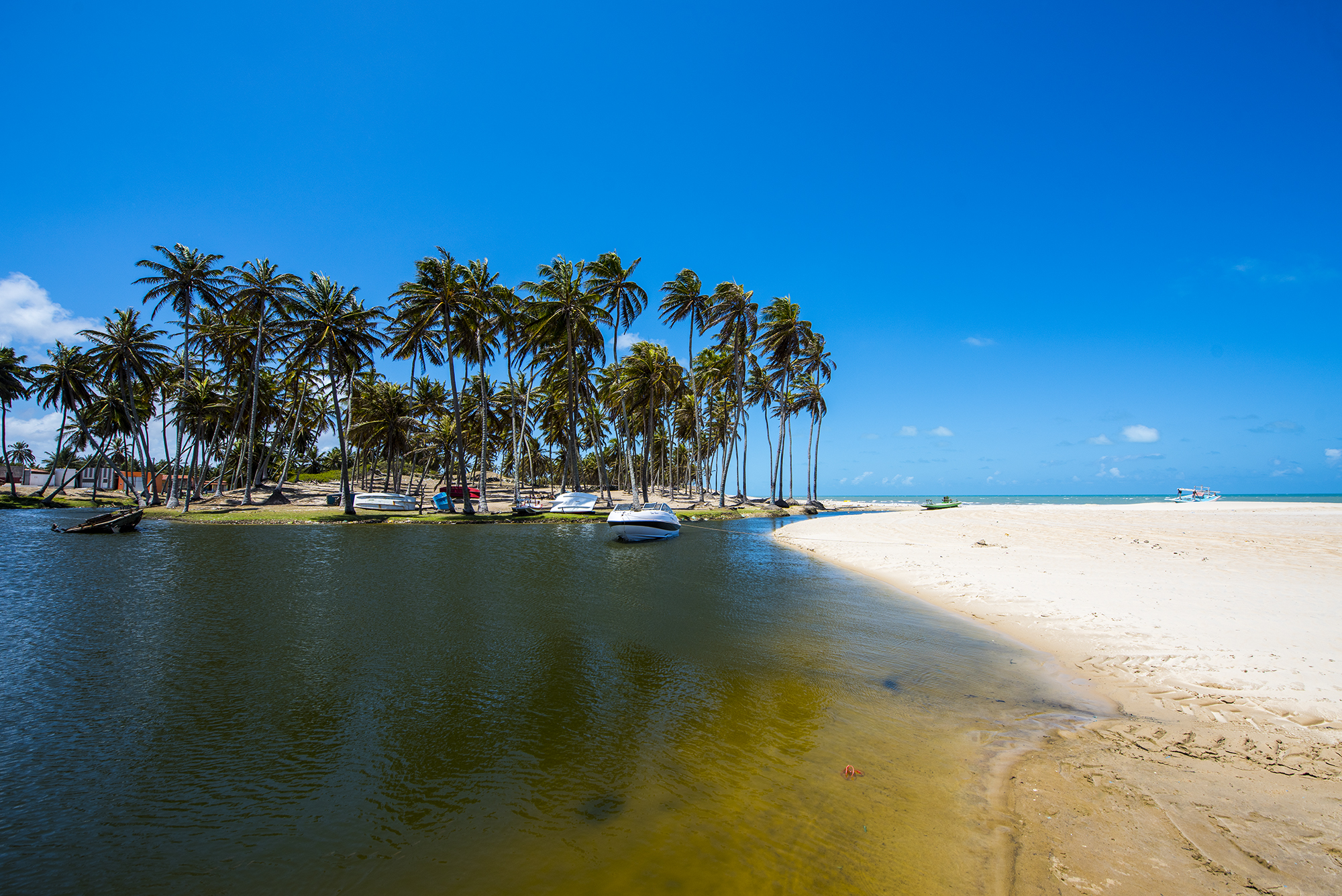 Conheça cinco praias que são um verdadeiro paraíso para famílias nos arredores de Natal