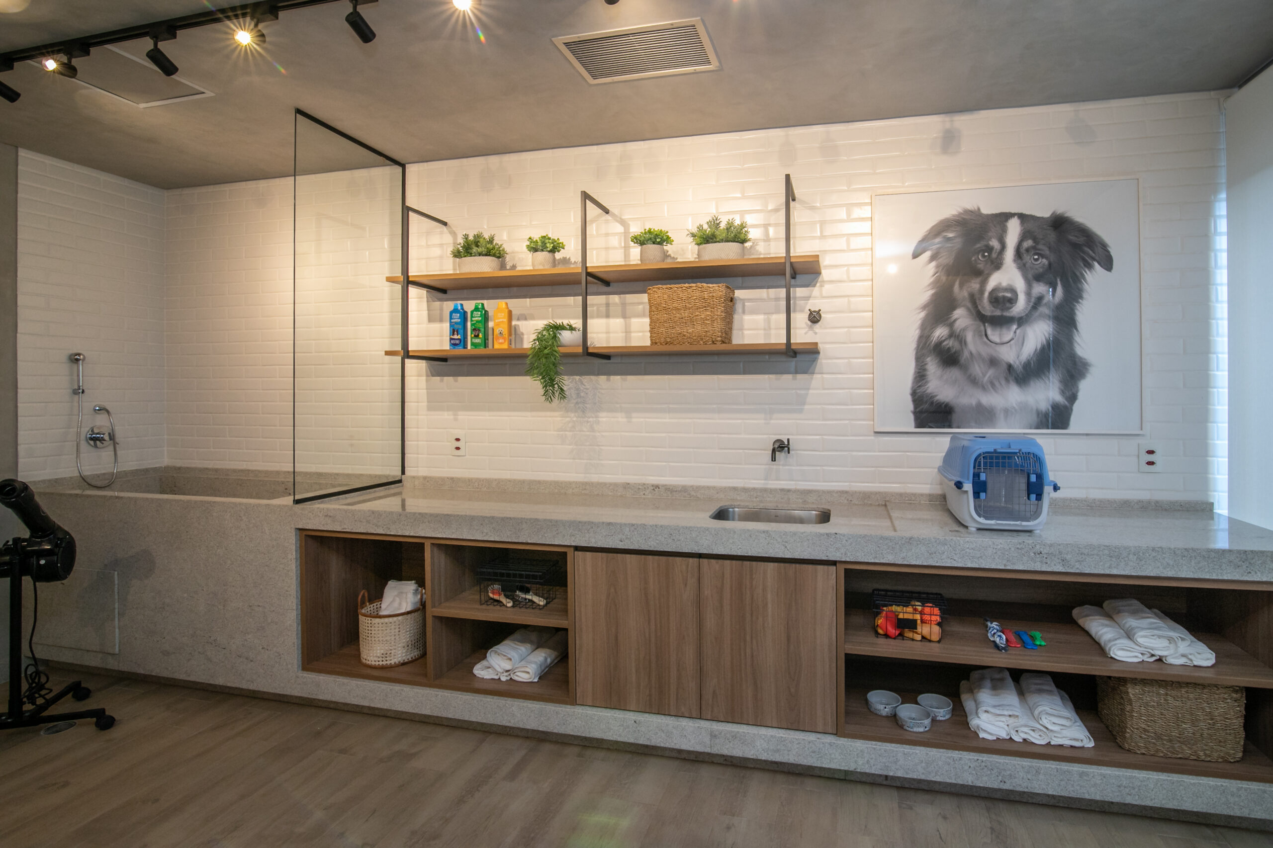 Pets ganham protagonismo e influenciam o mercado imobiliário brasileiro