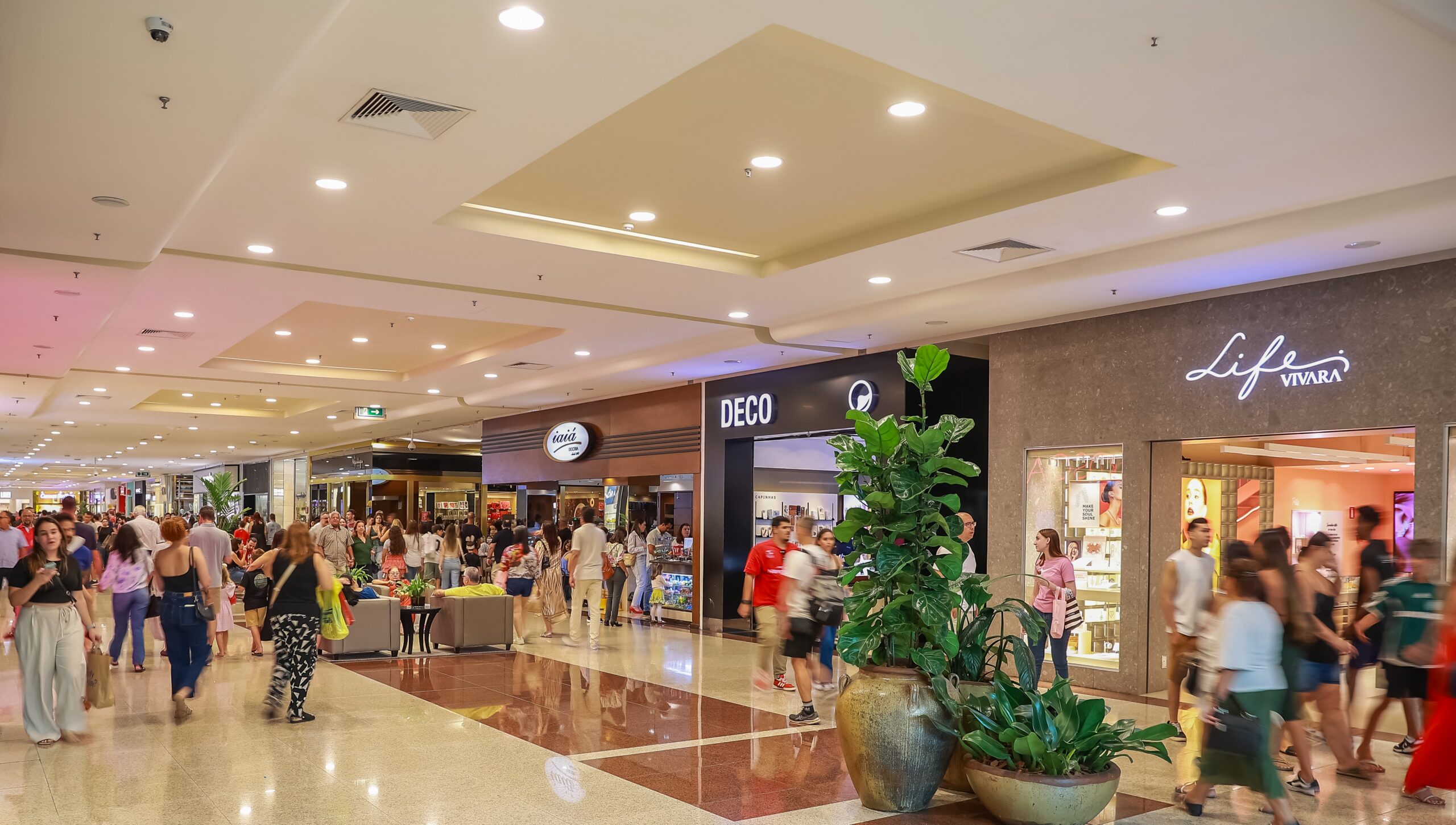 Intenção de compra cresce e 77% dos consumidores de Ribeirão Preto devem ir às compras neste Natal