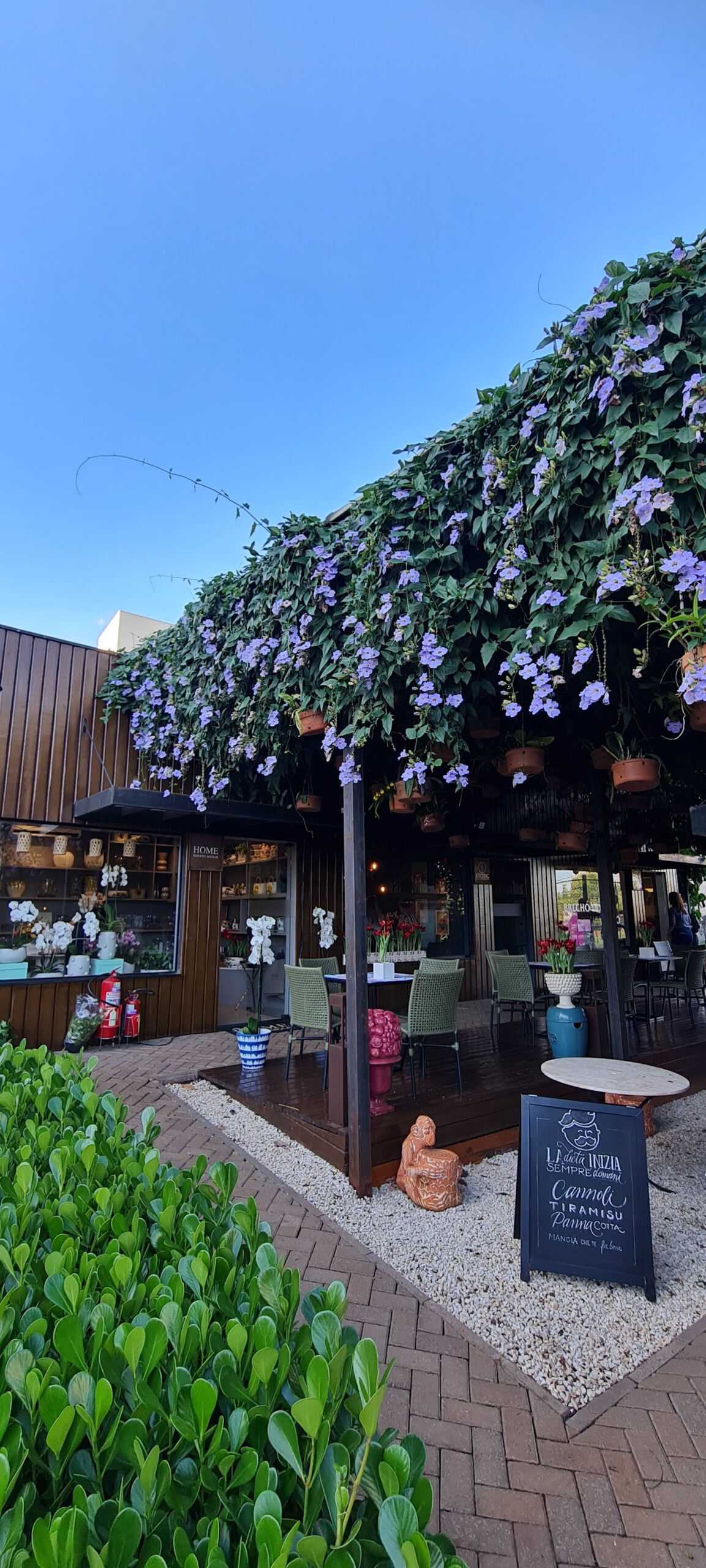 Feirinha do Produtor realiza edição especial de Natal com entrada gratuita em Ribeirão Preto