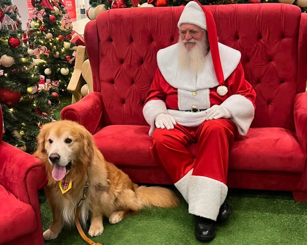 Franca Shopping apresenta programação especial de Natal com shows e encontro pet
