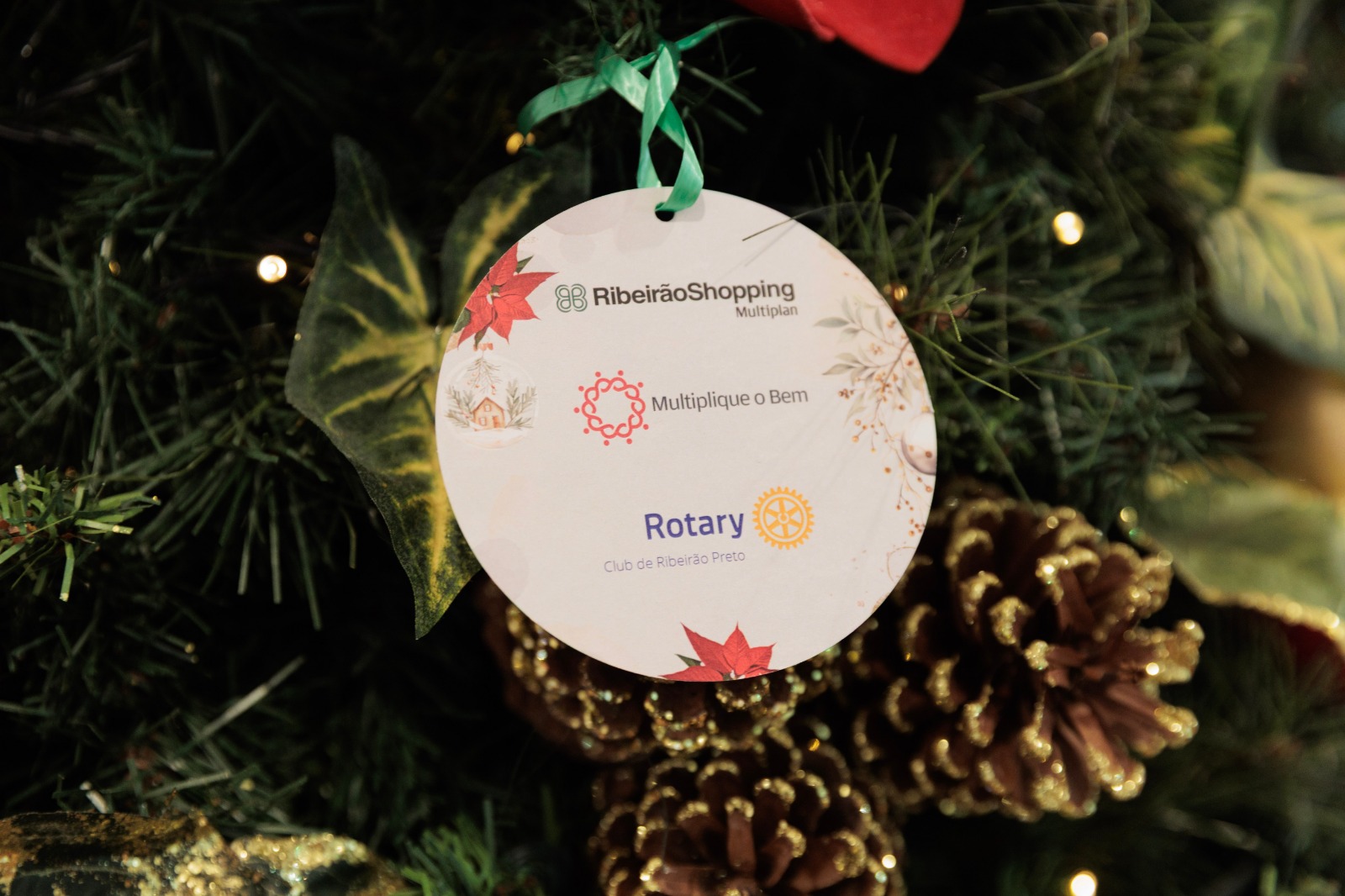 Árvores Solidárias do RibeirãoShopping arrecadam mais de 370 doações para crianças, idosos e pets em Ribeirão Preto